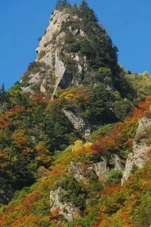事到万难须放胆，山穷水尽疑无路打一最佳生肖的警惕虚假宣传-前沿解答解释落实