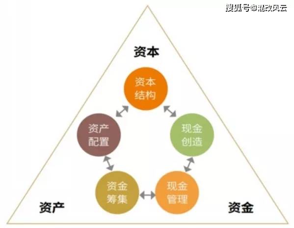 旁敲侧击打一最佳生肖详细解答、构建解答解释落实